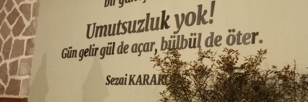 mbrravci's profile banner image