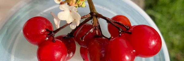 oleg_ua57 Profile Banner