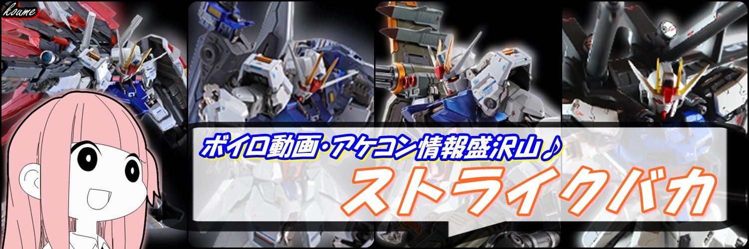 ストライクバカ@エクバボイロ動画投稿勢 banner
