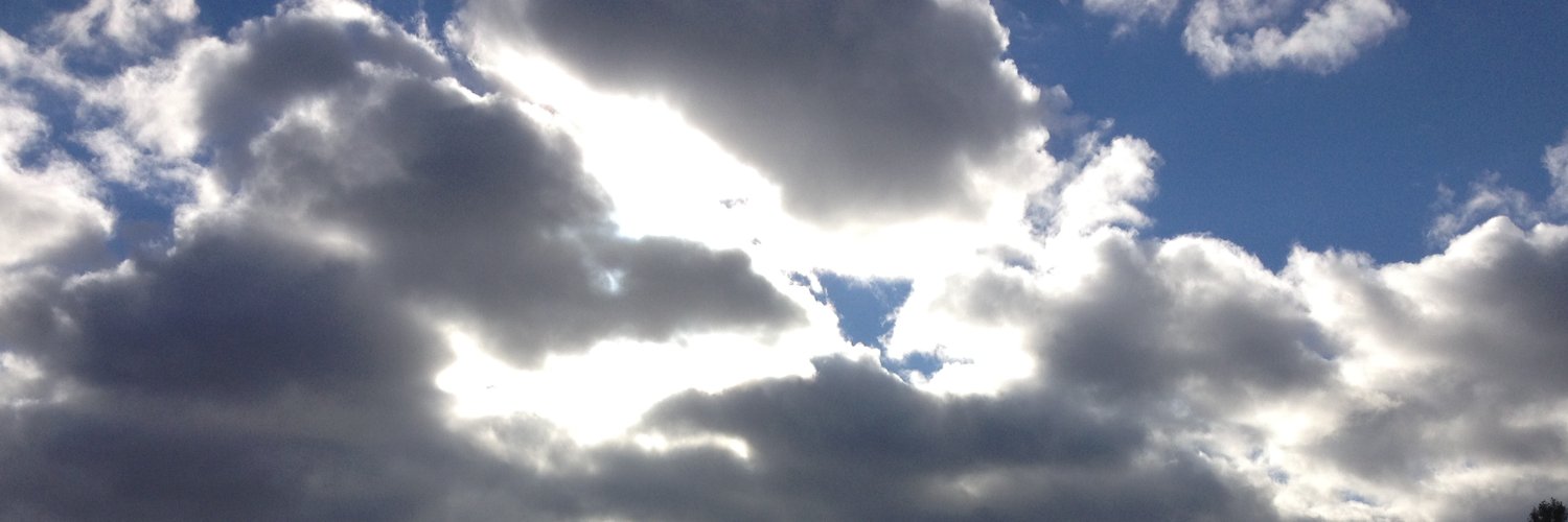 Gobluist's profile banner image