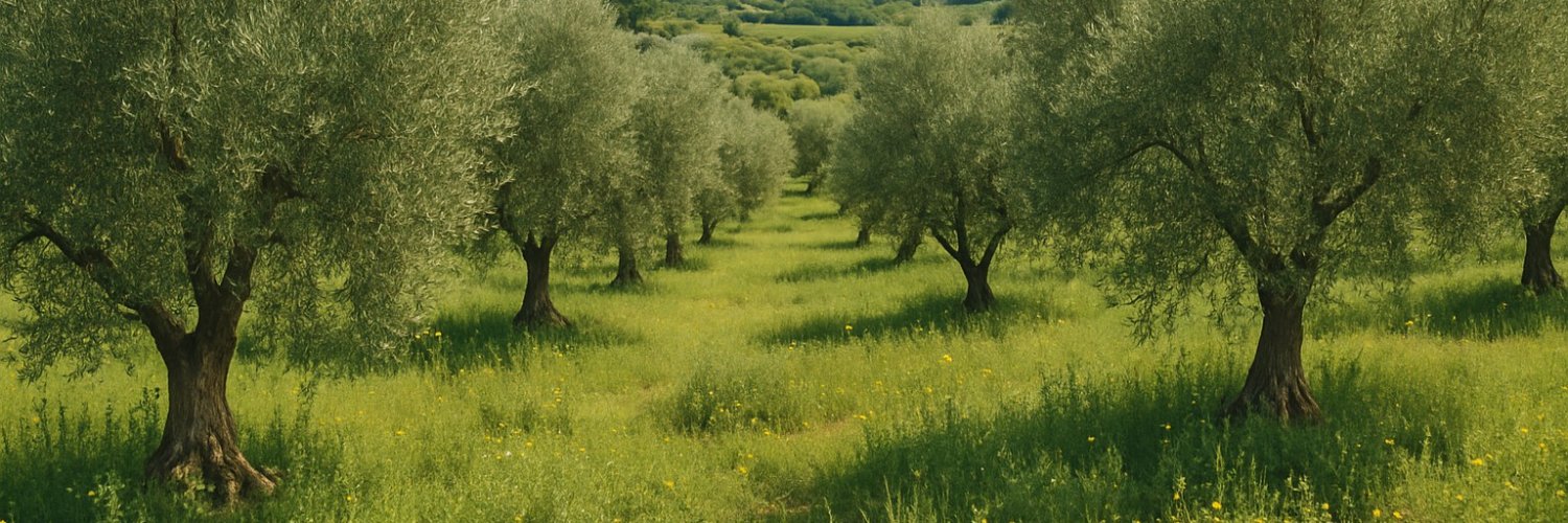 Jaime Martín-García banner