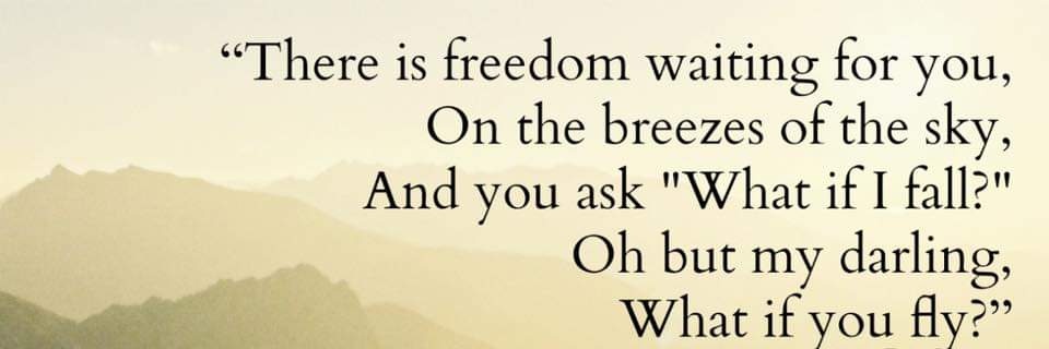 🇺🇸wyowarrior🇺🇸 banner