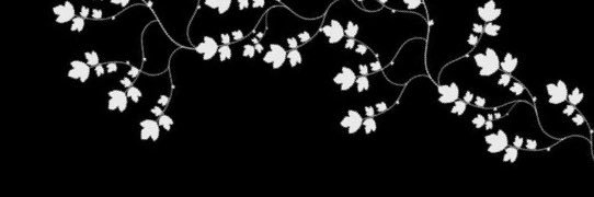 cloudyykayyy's profile banner image