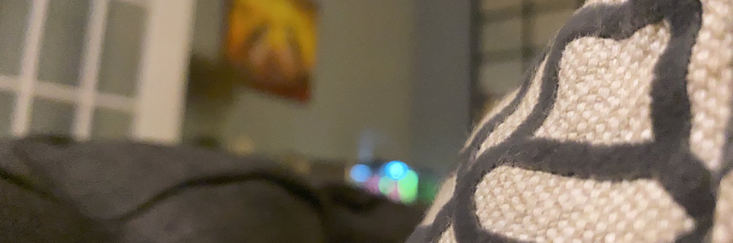 seanrdailey's profile banner image