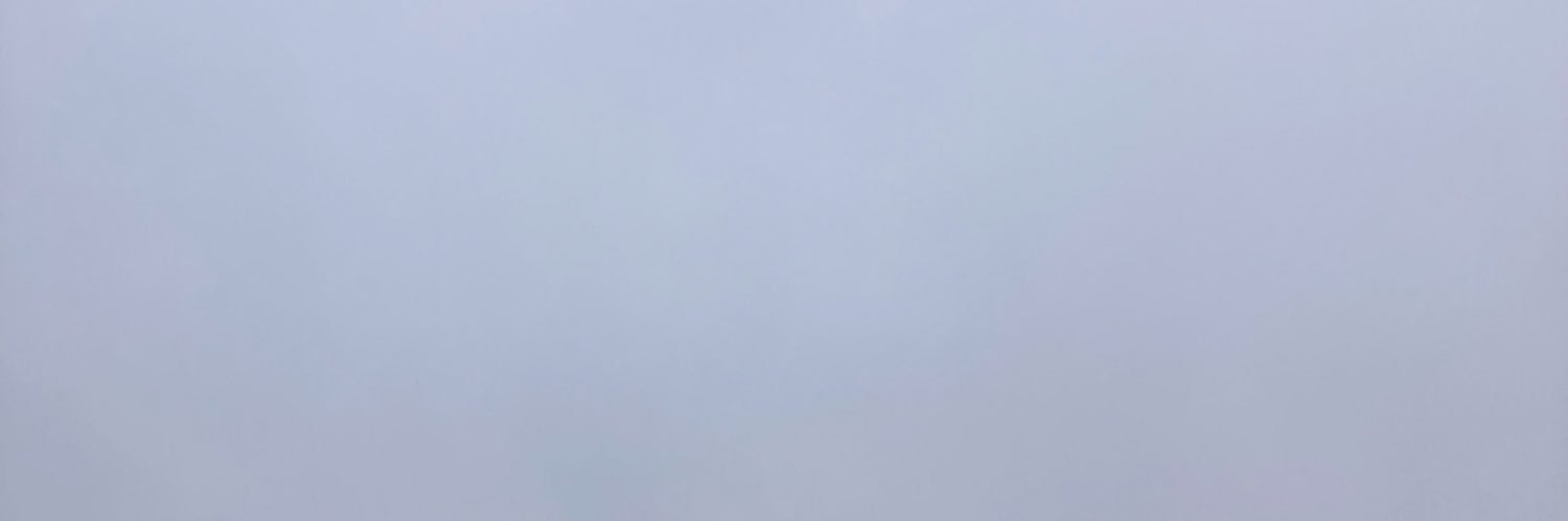 YurMomsBurner banner
