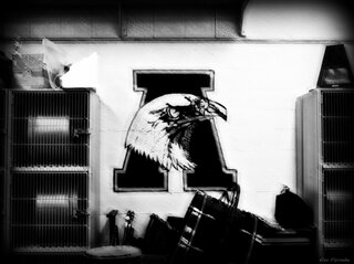 ahs_trombones's profile banner image