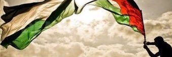 DElmaraghy's profile banner image