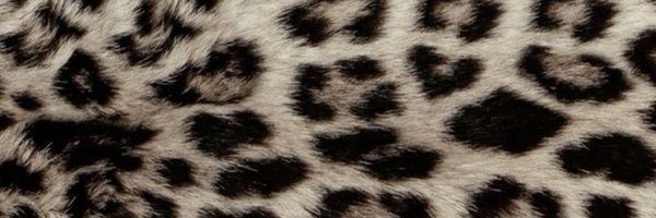 thatshowt Profile Banner