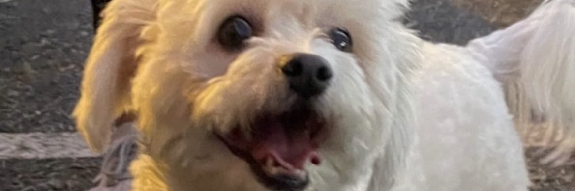 ifoundryan's profile banner image