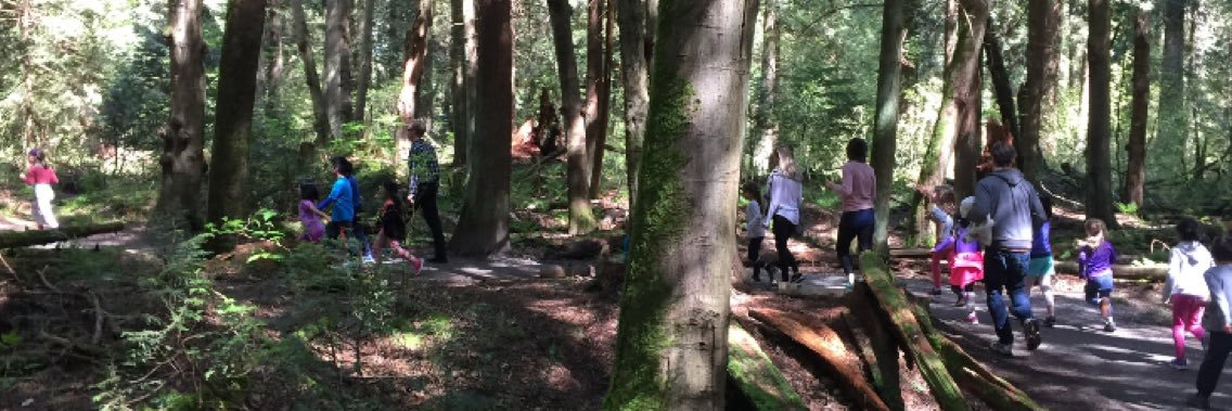 Rose Point School banner