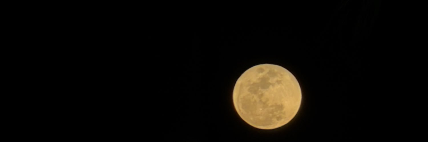 alemrecio's profile banner image