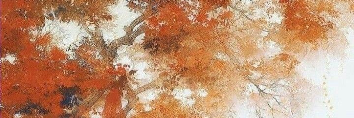 hydrovasha's profile banner image