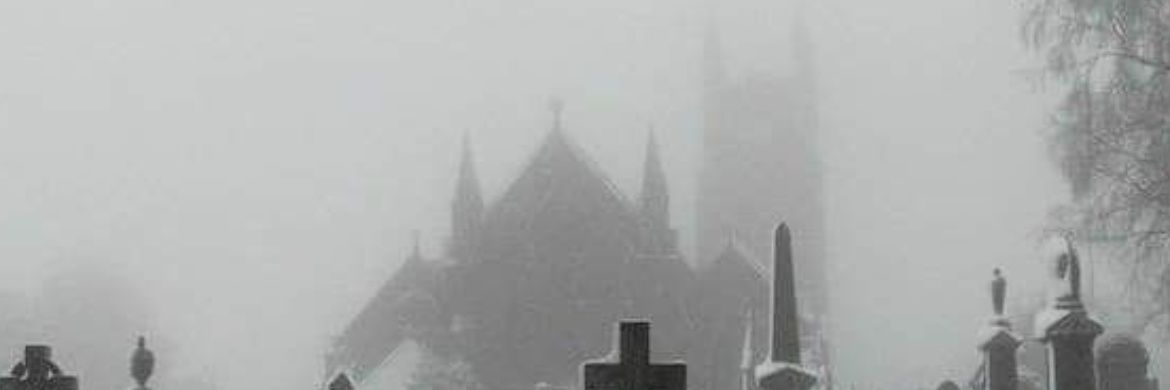 ⛧°。 ⋆༺♱༻⋆。 °⛧ banner