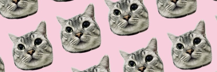kyputputri's profile banner image