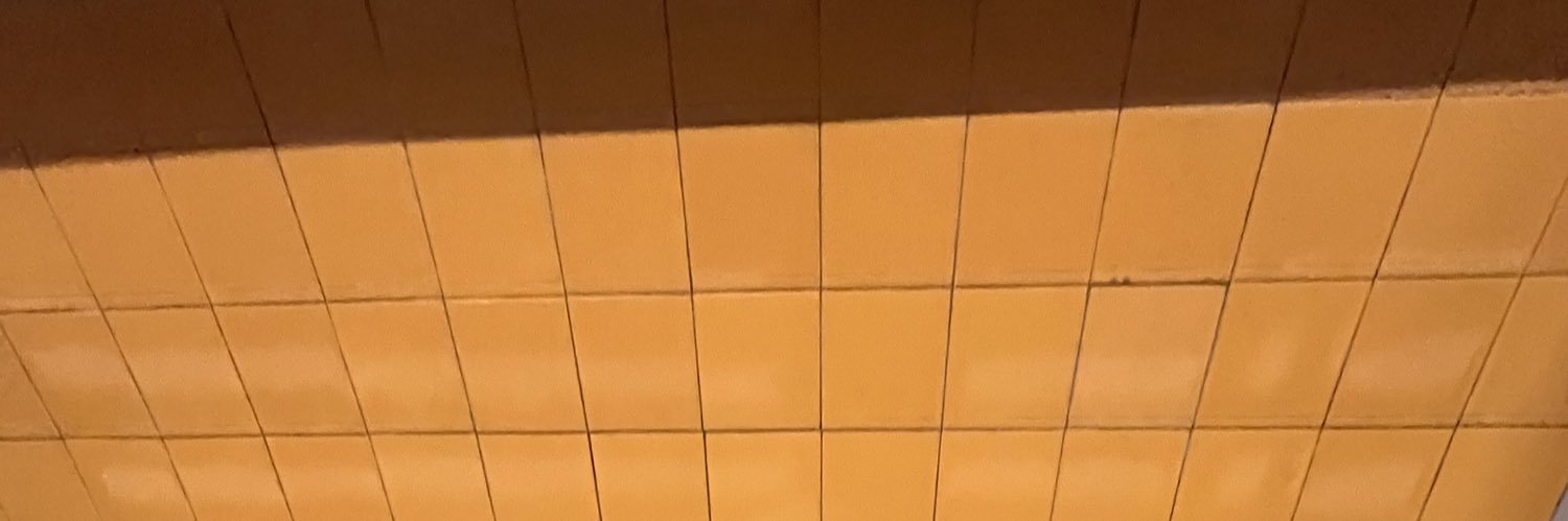 fakeaunties's profile banner image