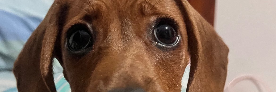 ReggieRomaya's profile banner image
