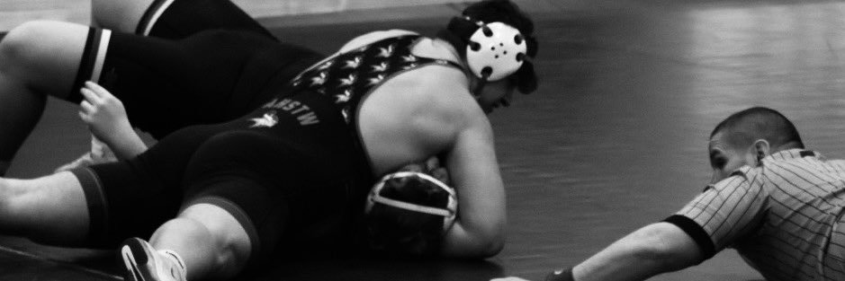 Roman Scheffler banner