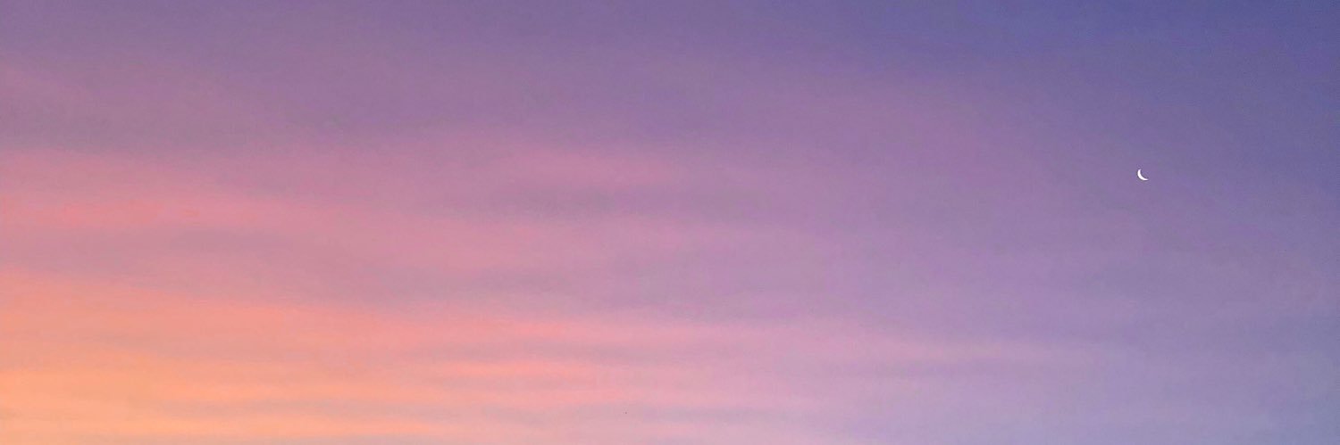 dianamoyeda's profile banner image