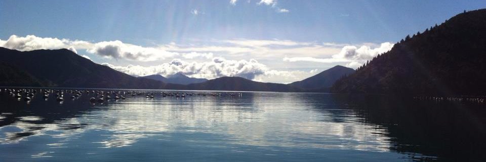 simu55's profile banner image