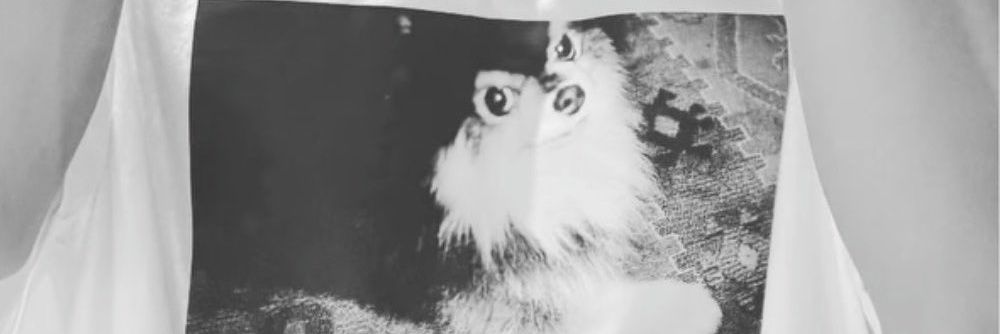 Segi thv♡ Arirang ⁷ banner