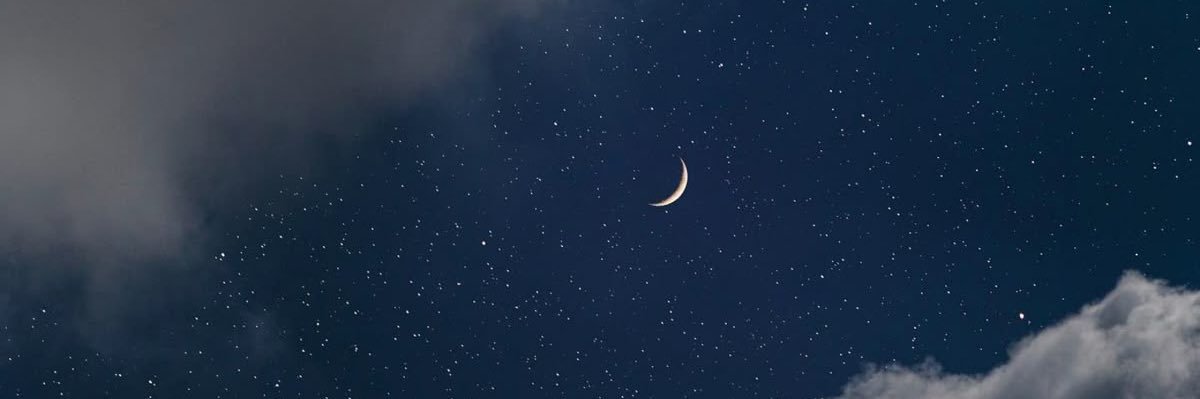 fellarrrr's profile banner image