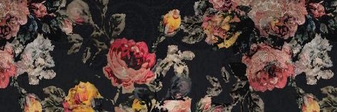 karalanemac's profile banner image