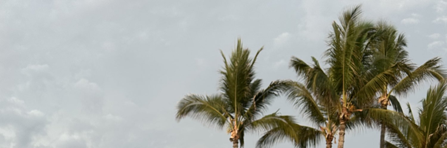 gustavoalgnd's profile banner image