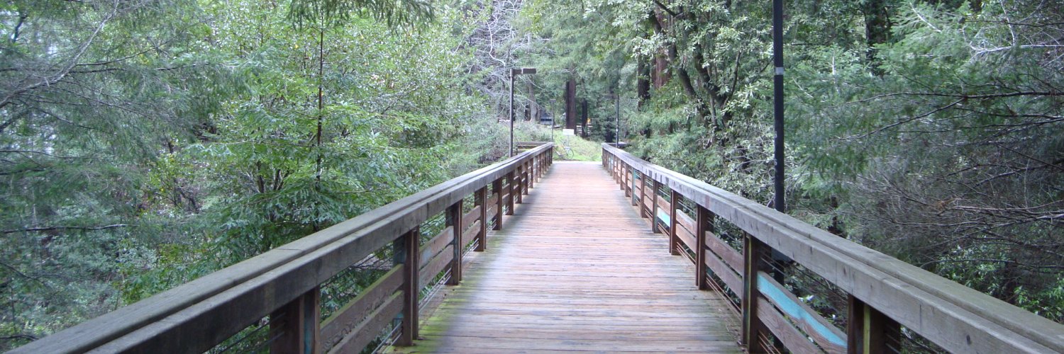 木村 周平 Shuhei Kimura banner