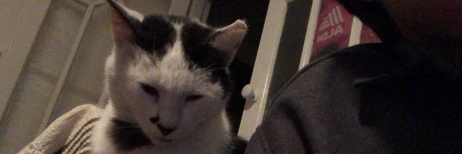Ben_nuttarika's profile banner image