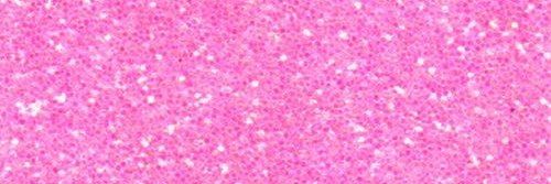 DivaMariaGarcia's profile banner image
