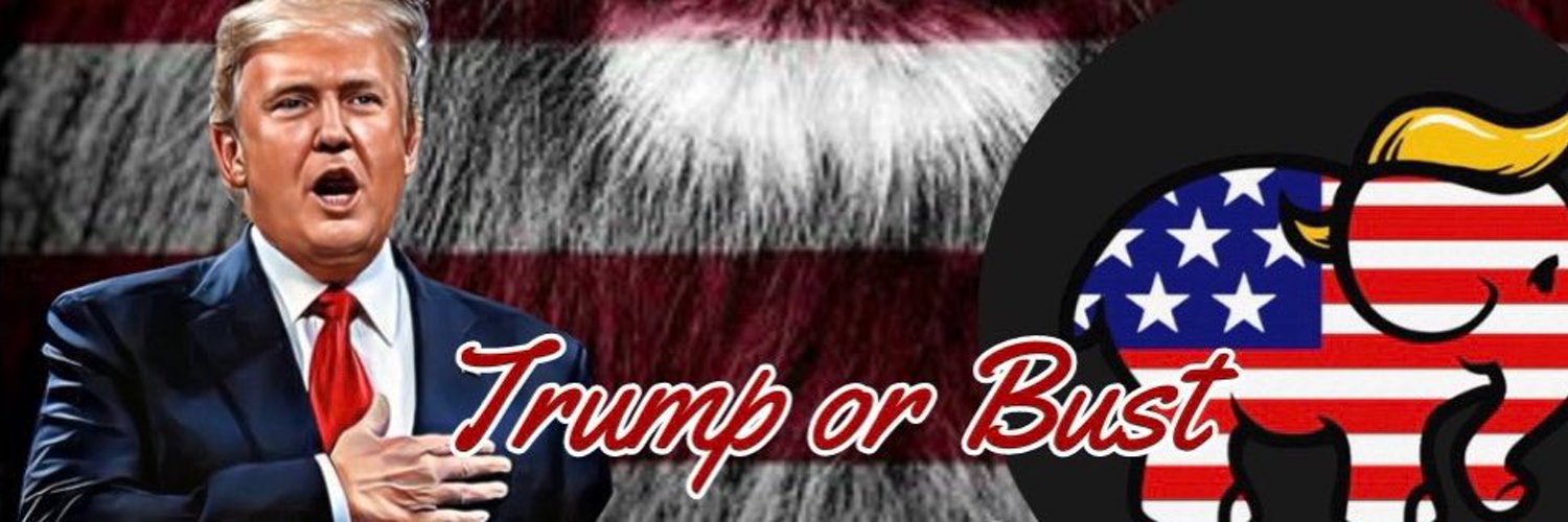 🇺🇸 David 🇺🇸 IFBAP🇺🇸 Profile Banner