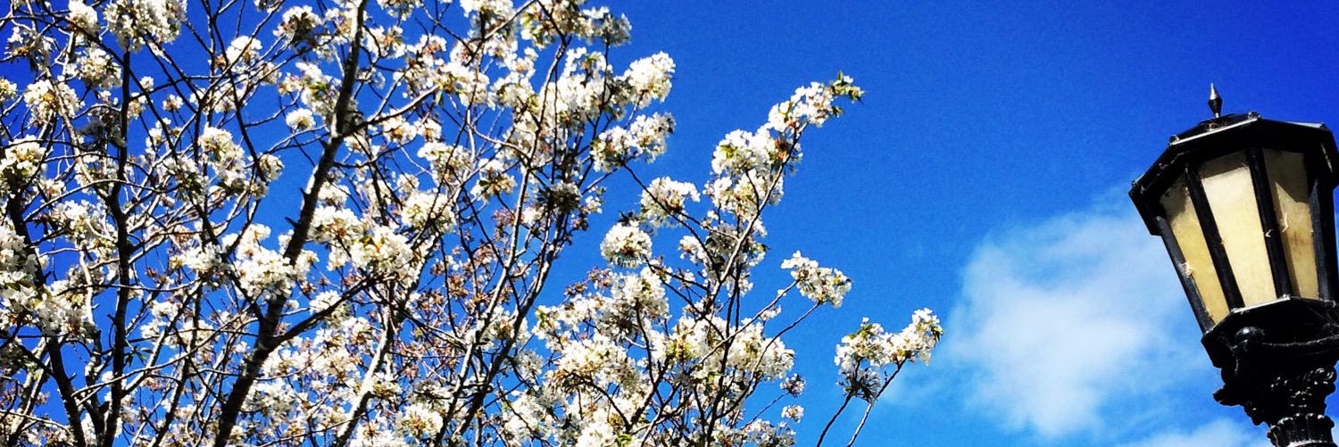 JenVella1's profile banner image