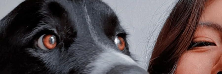 dngess's profile banner image