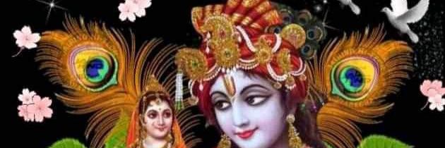 nrajshetty's profile banner image