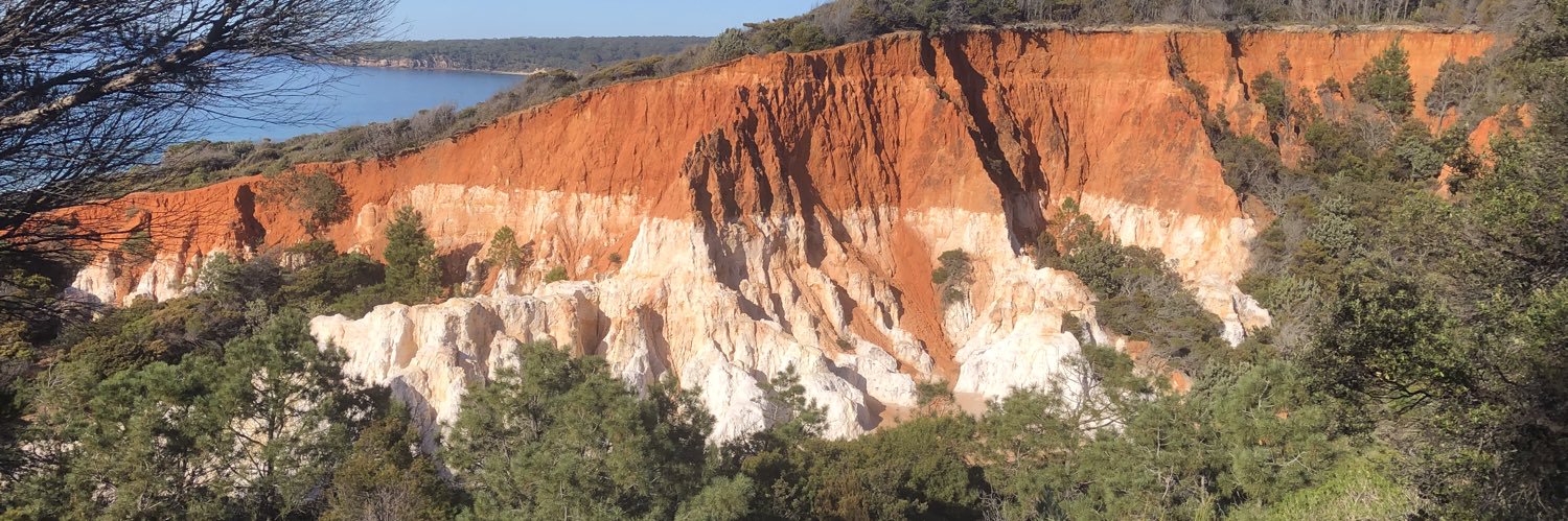 rogerherbert_ banner