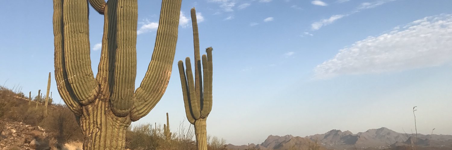 mckenziejacobsn's profile banner image