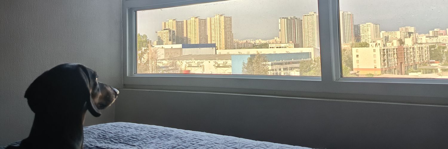 Antoine_V07's profile banner image
