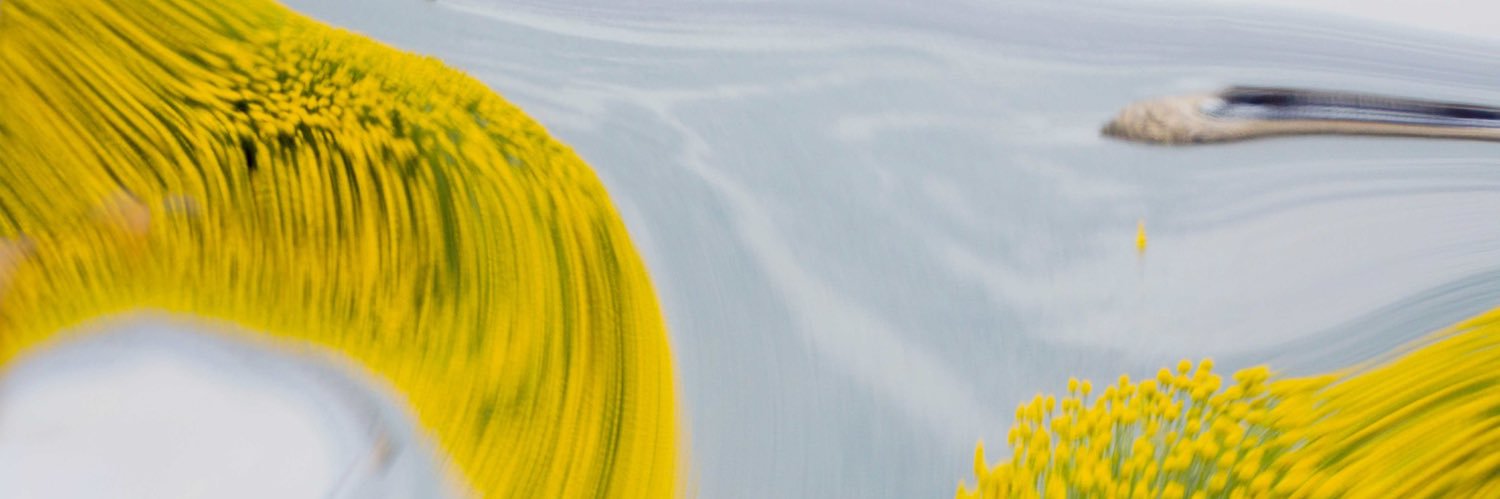 laperrmak's profile banner image