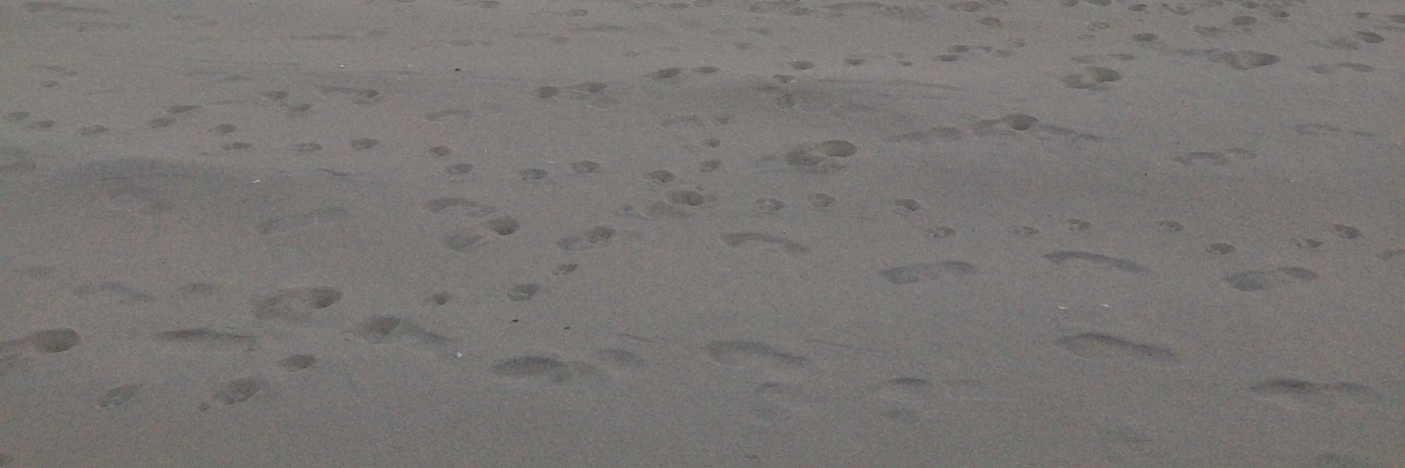 ChrisSki96's profile banner image