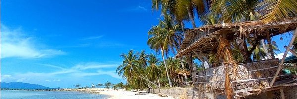 DhanoyyIslander Profile Banner