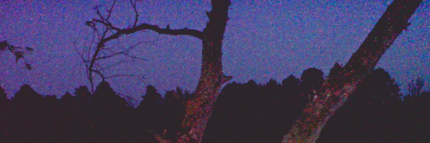 D0r0f3y's profile banner image