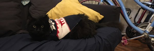 JoJoGinn Profile Banner