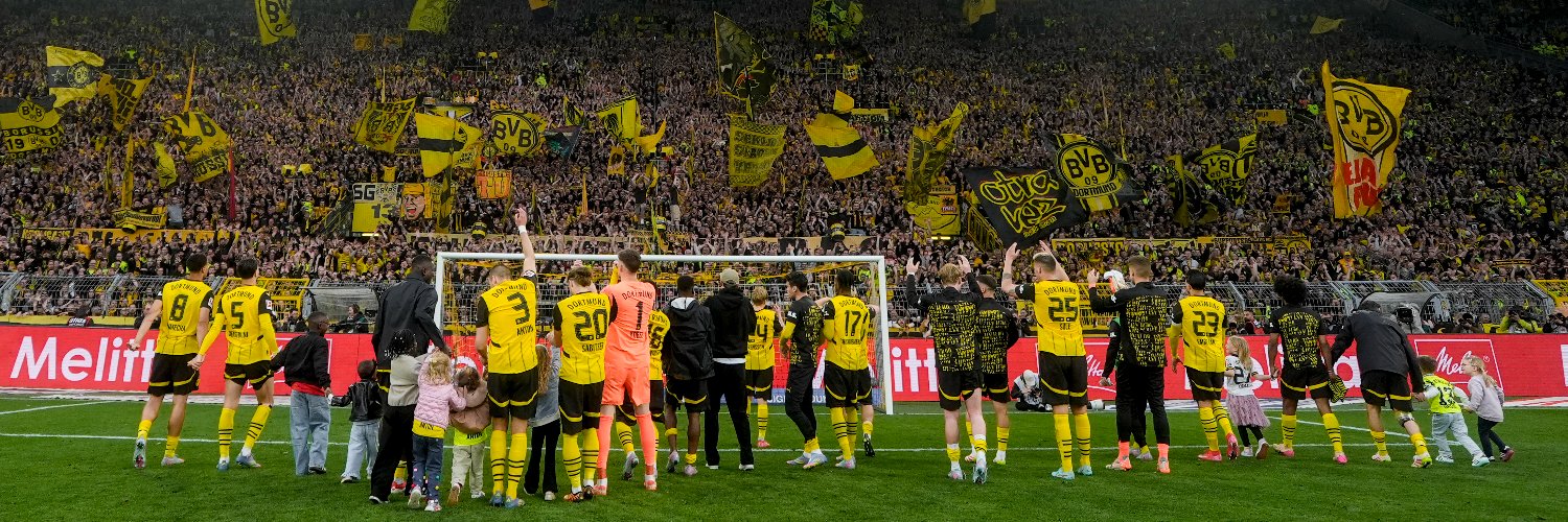 Borussia Dortmund's banner