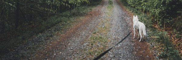 richnanophd Profile Banner