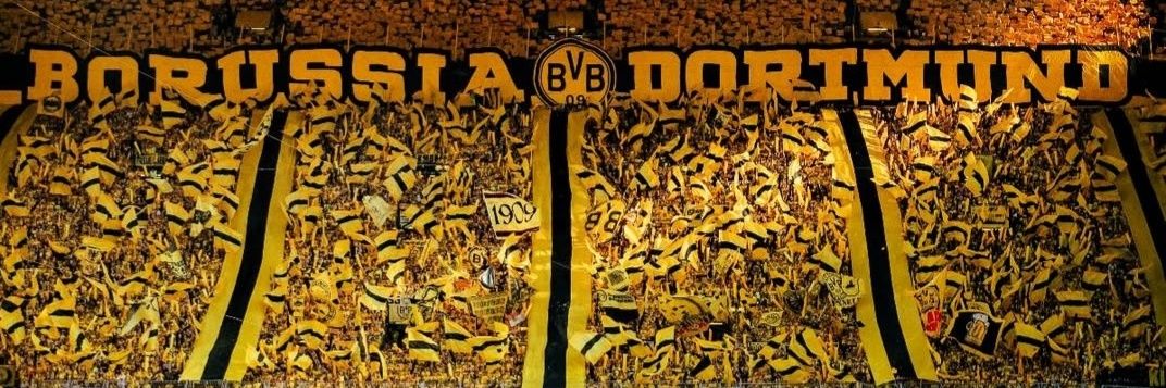Piotr Homoncik banner