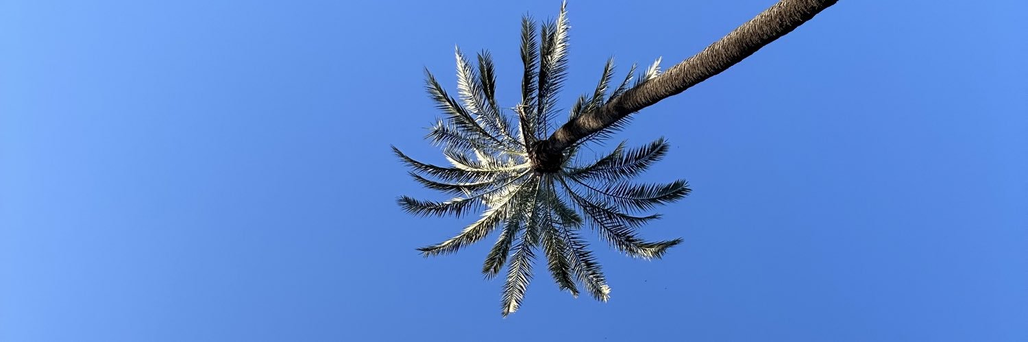 Laura Rodriguez🌴 banner