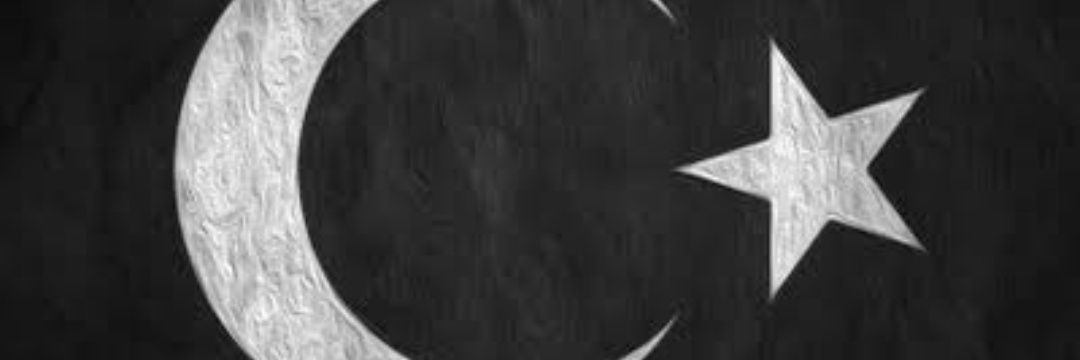 nasrullahy's profile banner image