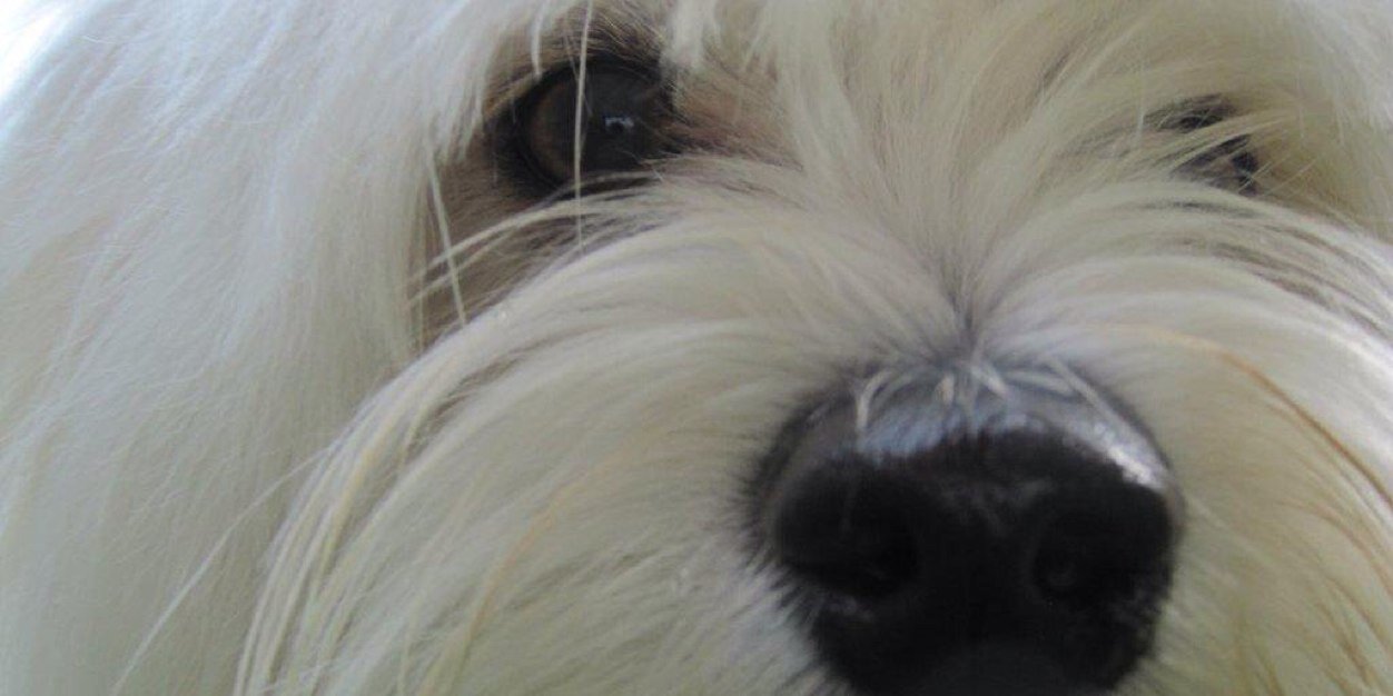 herfried03's profile banner image