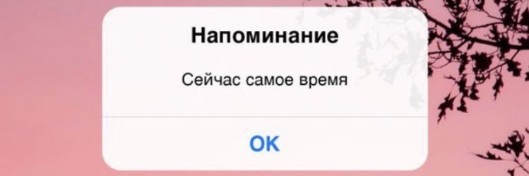 real7olya's profile banner image