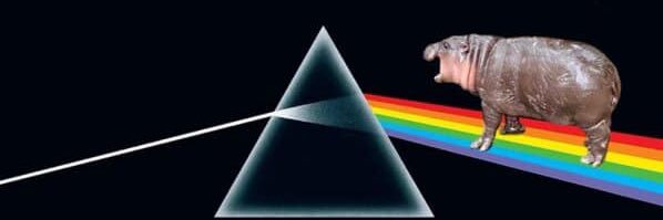 Flip_Crypto27's profile banner image